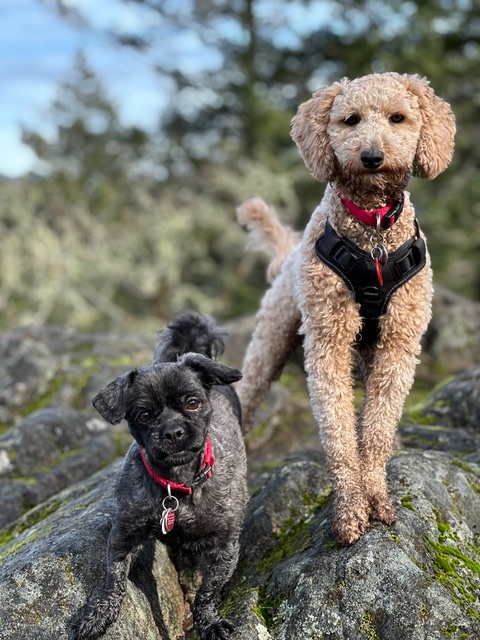 Sable and Maggie